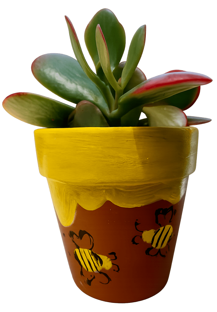 Painted Plant pot from Paint and sip event at Happy Valley Winery State College PA